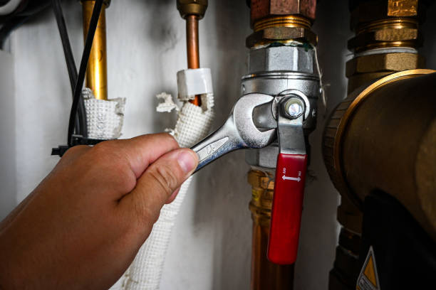 Best Shower Repair Services  in Pearl City, HI